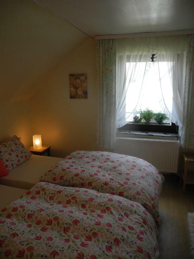 Villa Luzia Meuspath Экстерьер фото